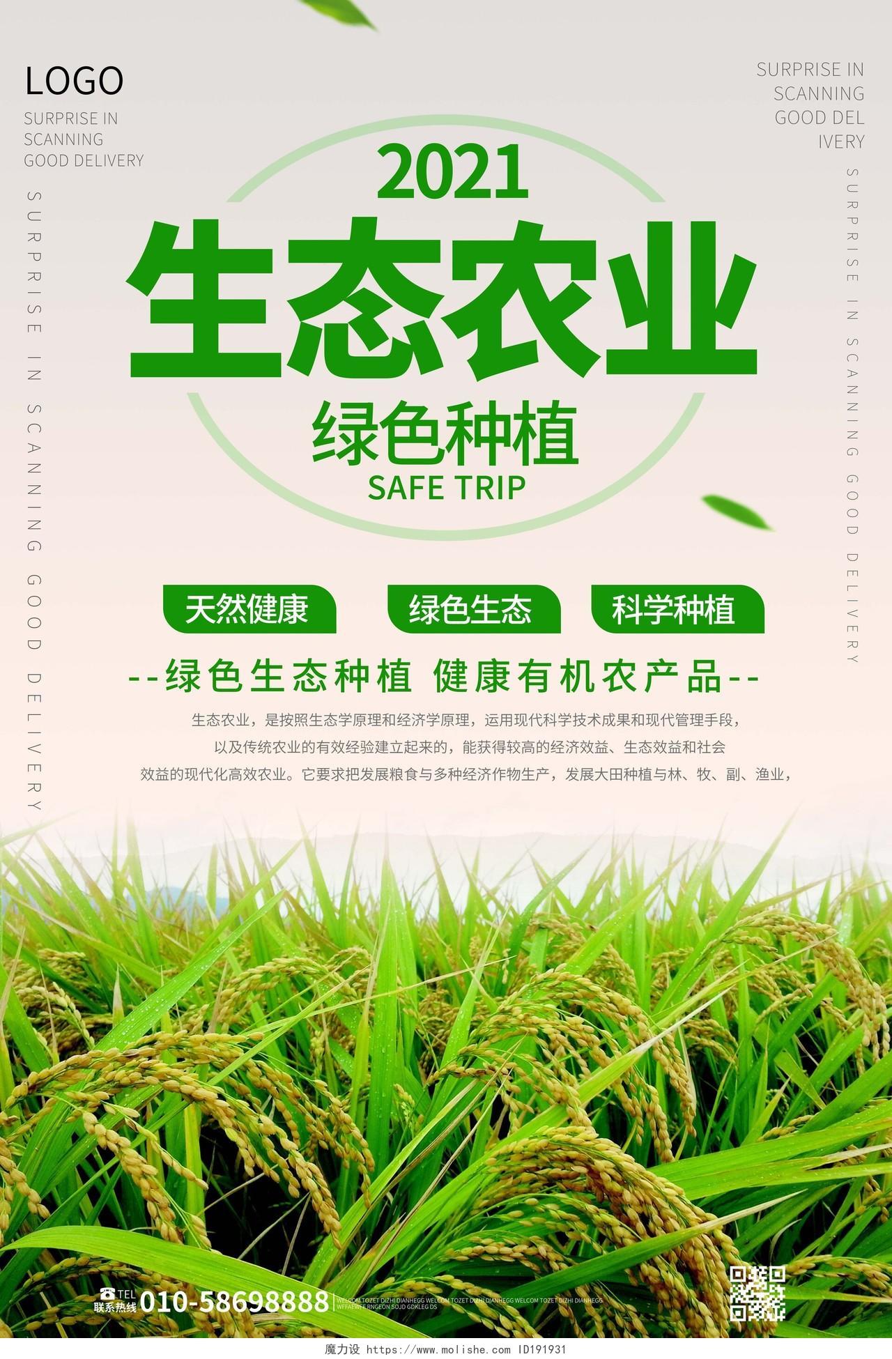 浅灰色大气创意2021生态农业绿色种植宣传海报农业种植海报